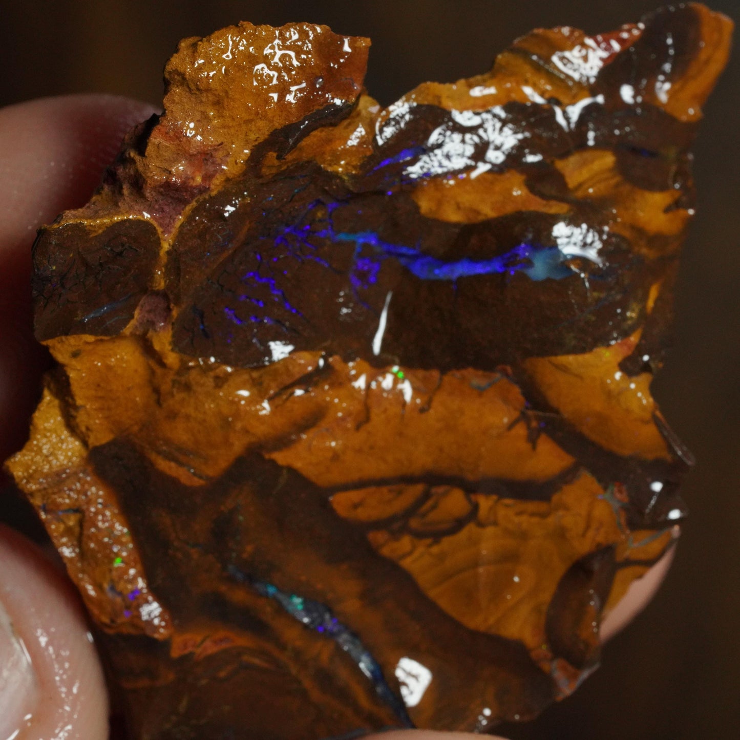 Boulder Opal