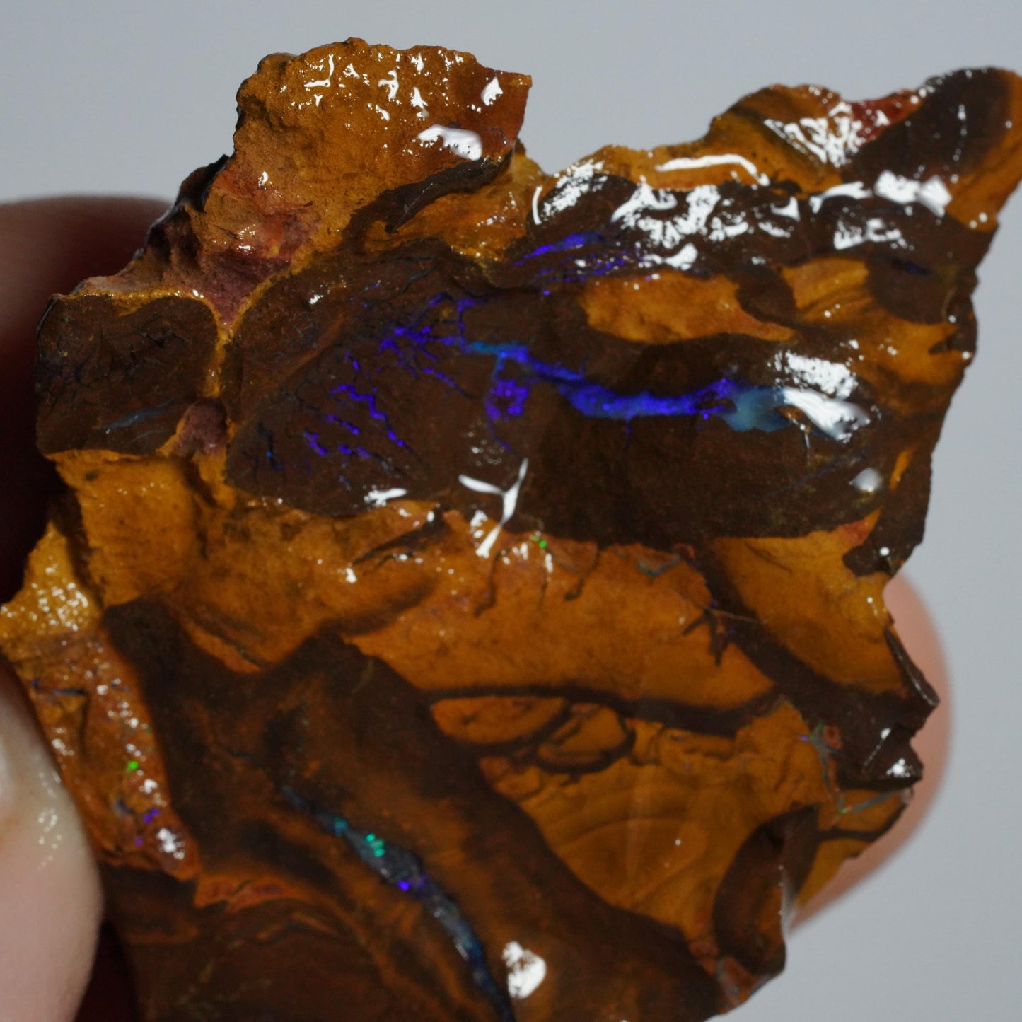 Boulder Opal