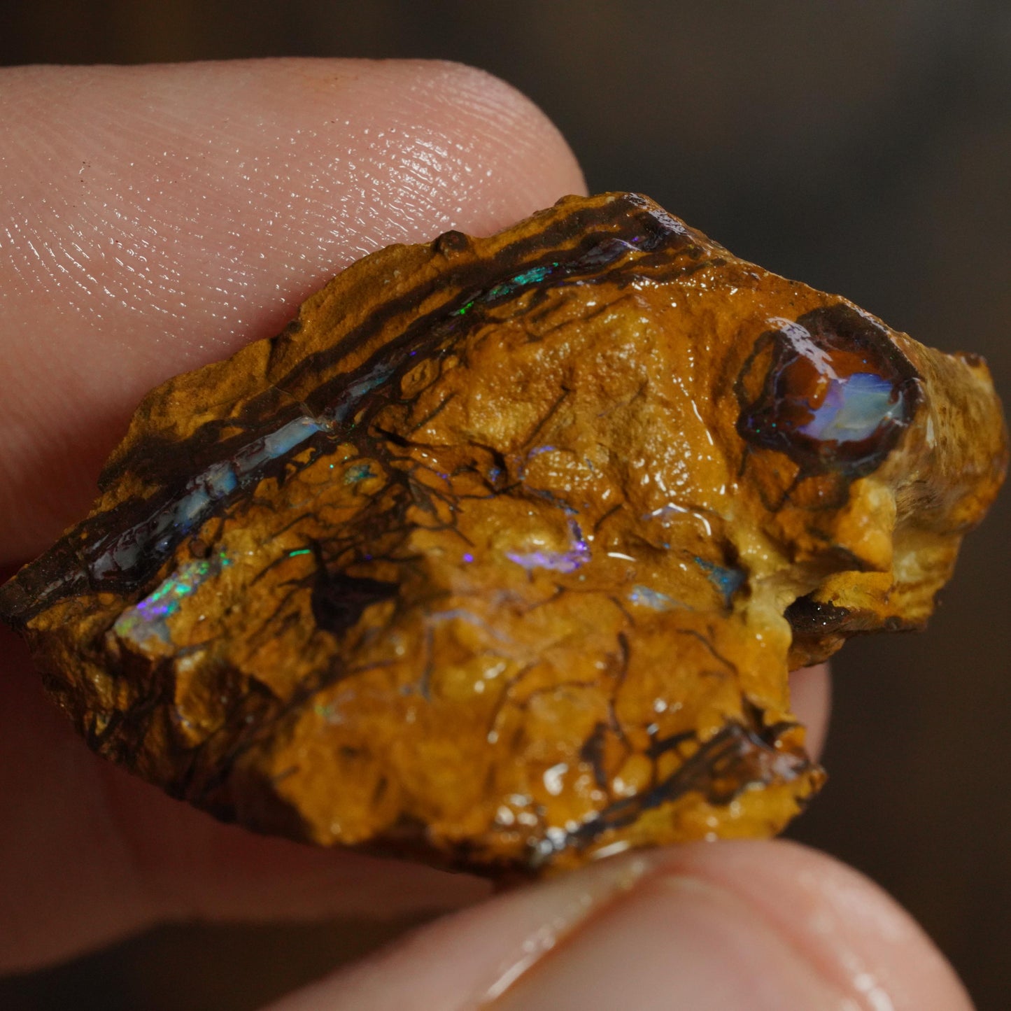 Boulder Opal