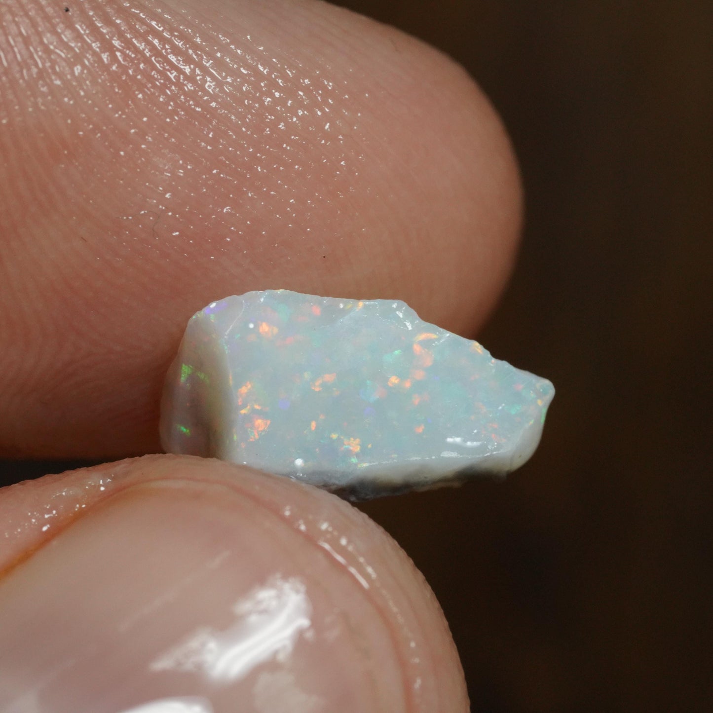 Australian Rough Opal