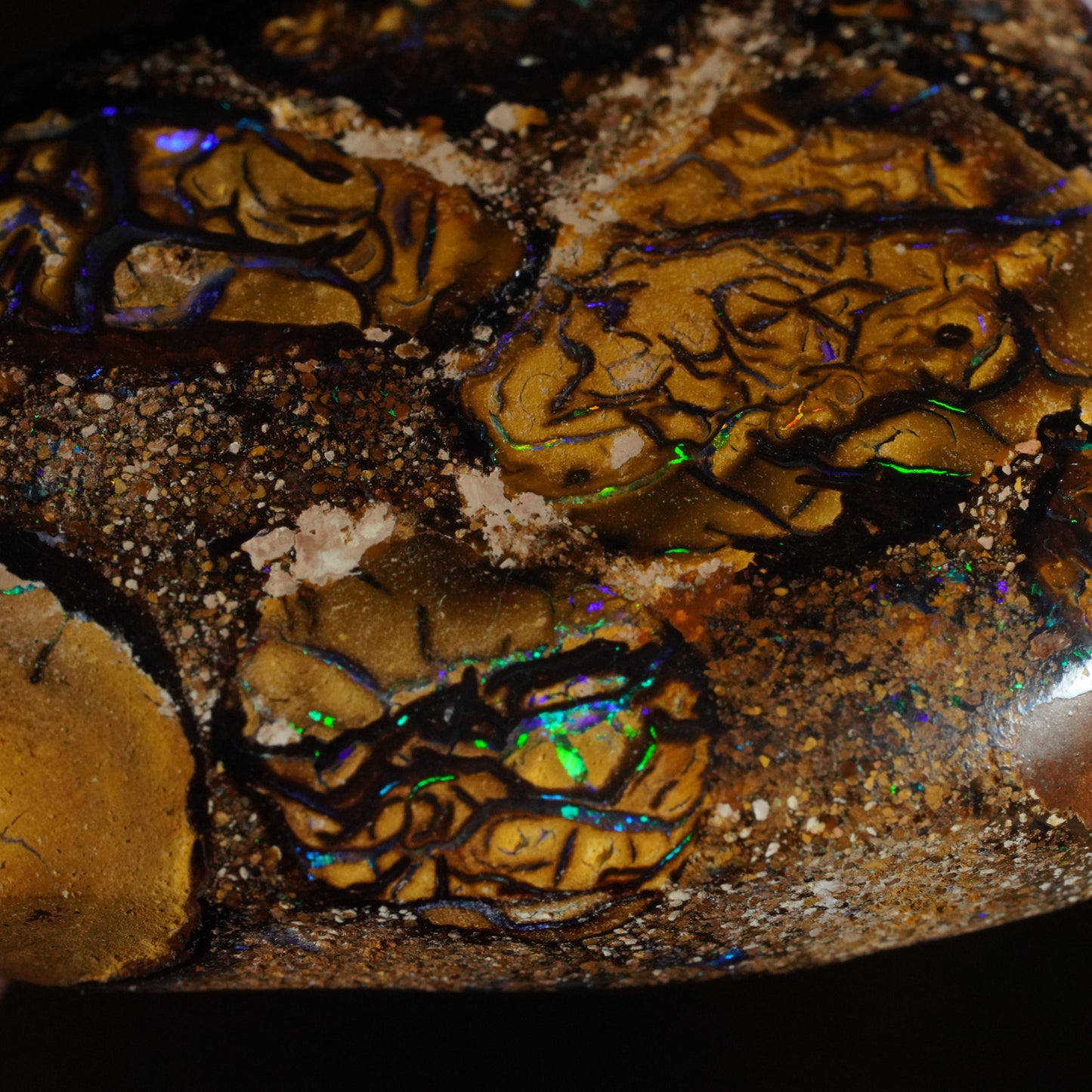 Boulder Opal Cut Stone