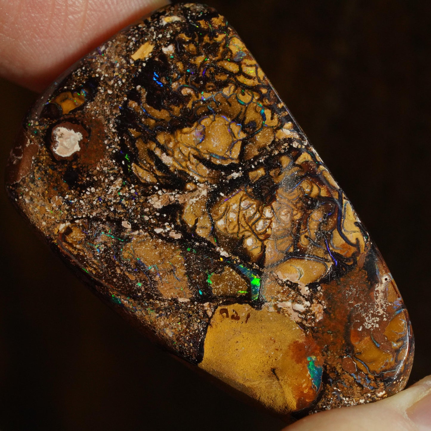 Boulder Opal Cut Stone