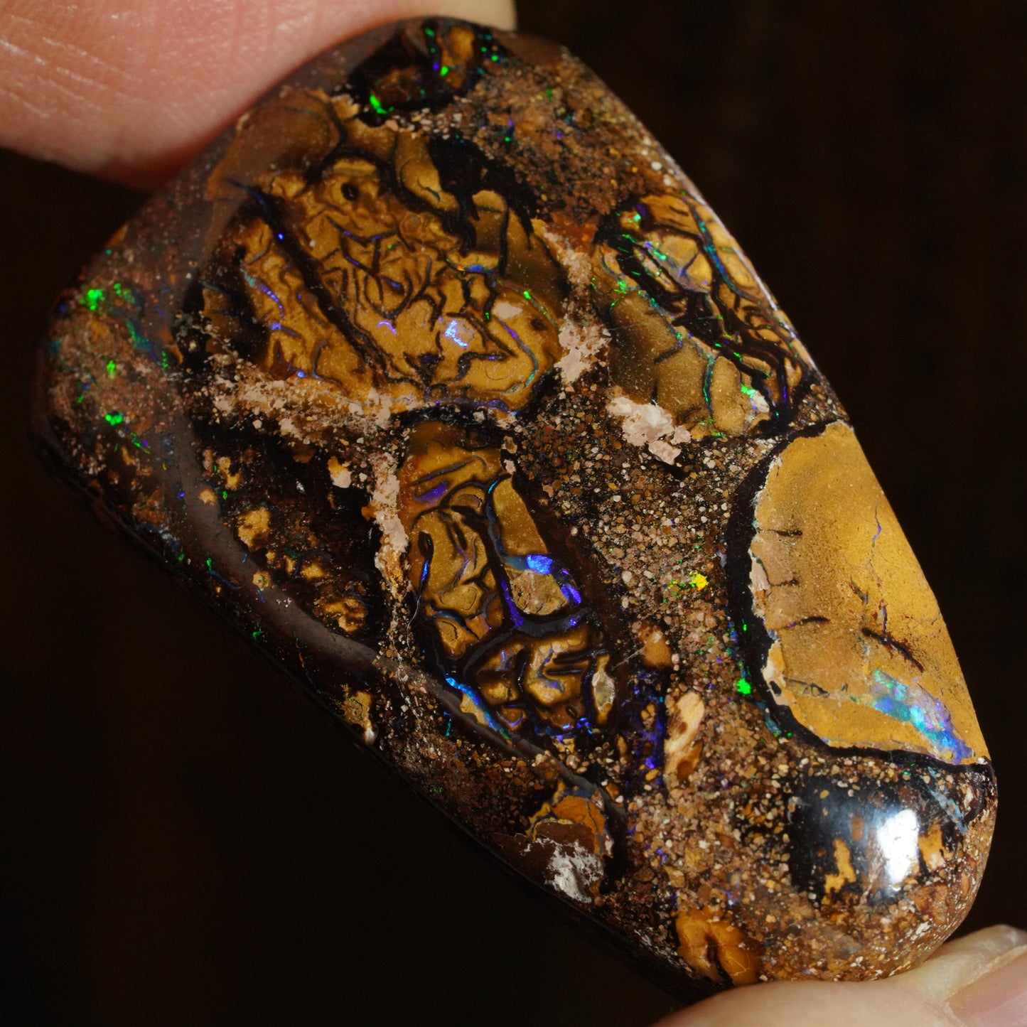 Boulder Opal Cut Stone