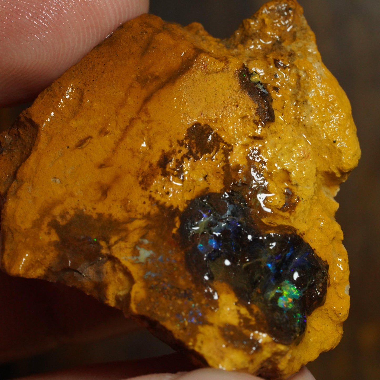 Boulder Opal