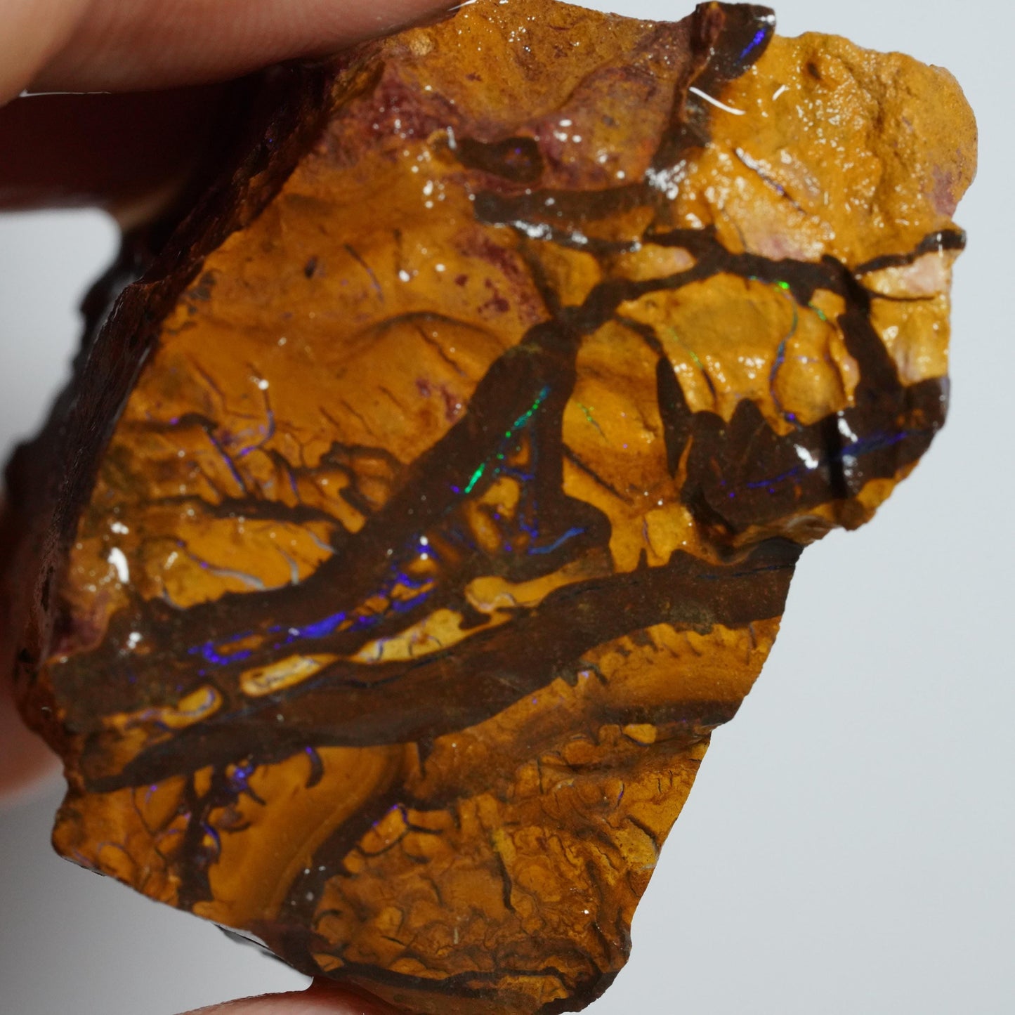 Boulder Opal
