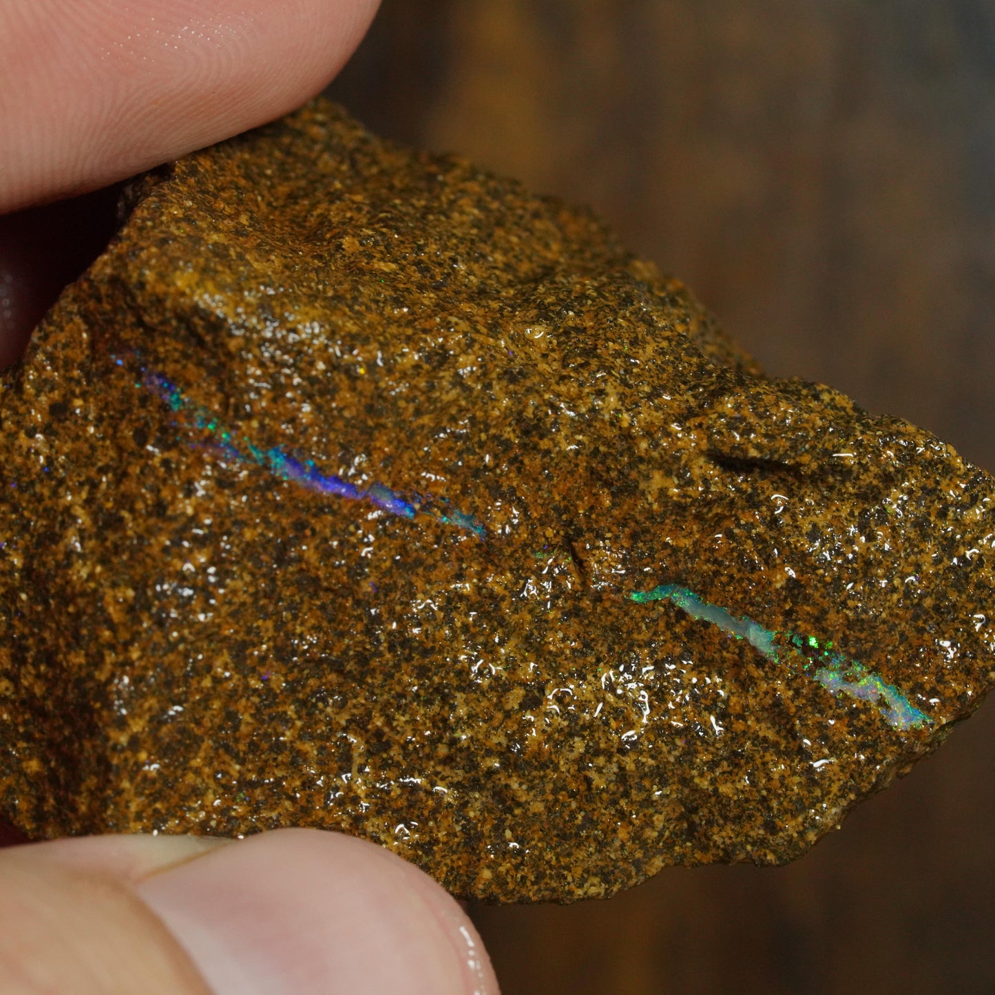 Boulder Opal