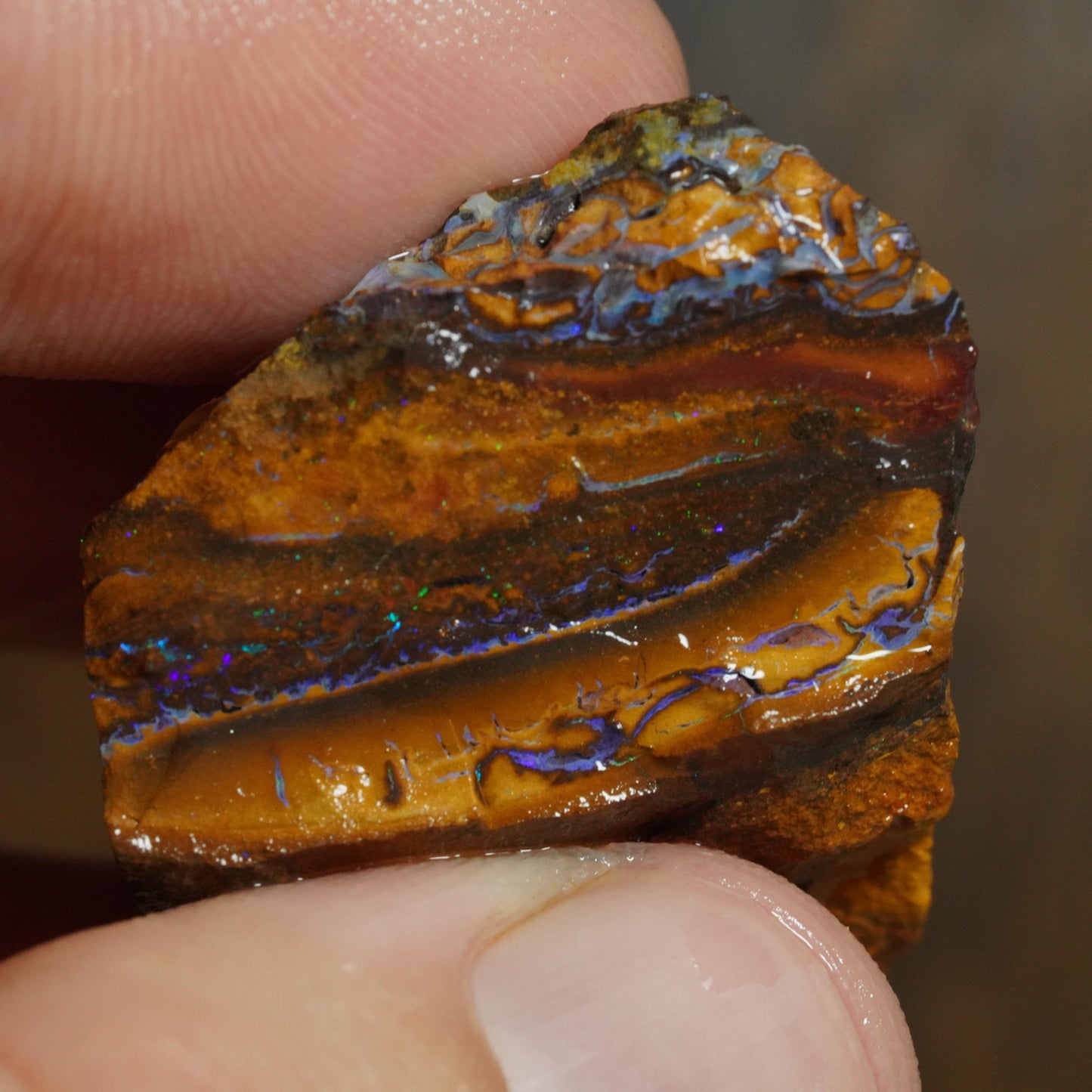 Boulder Opal