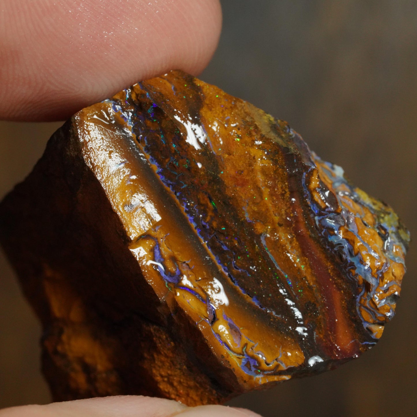 Boulder Opal