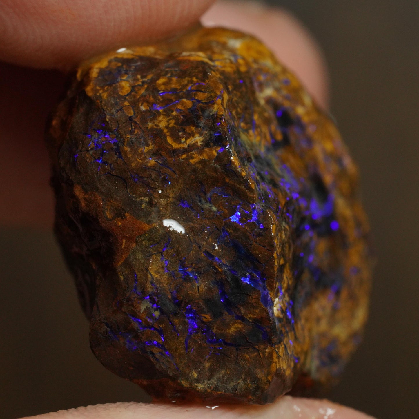 Boulder Opal