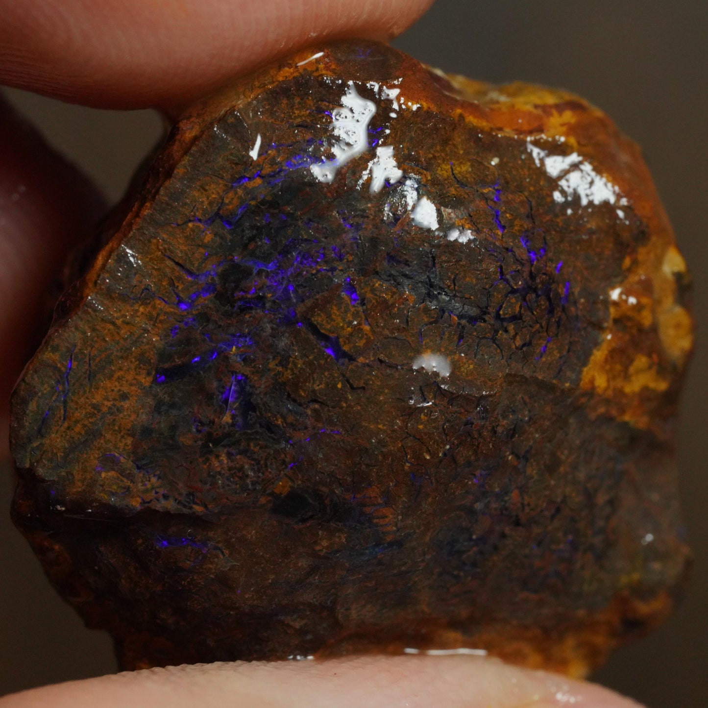 Boulder Opal
