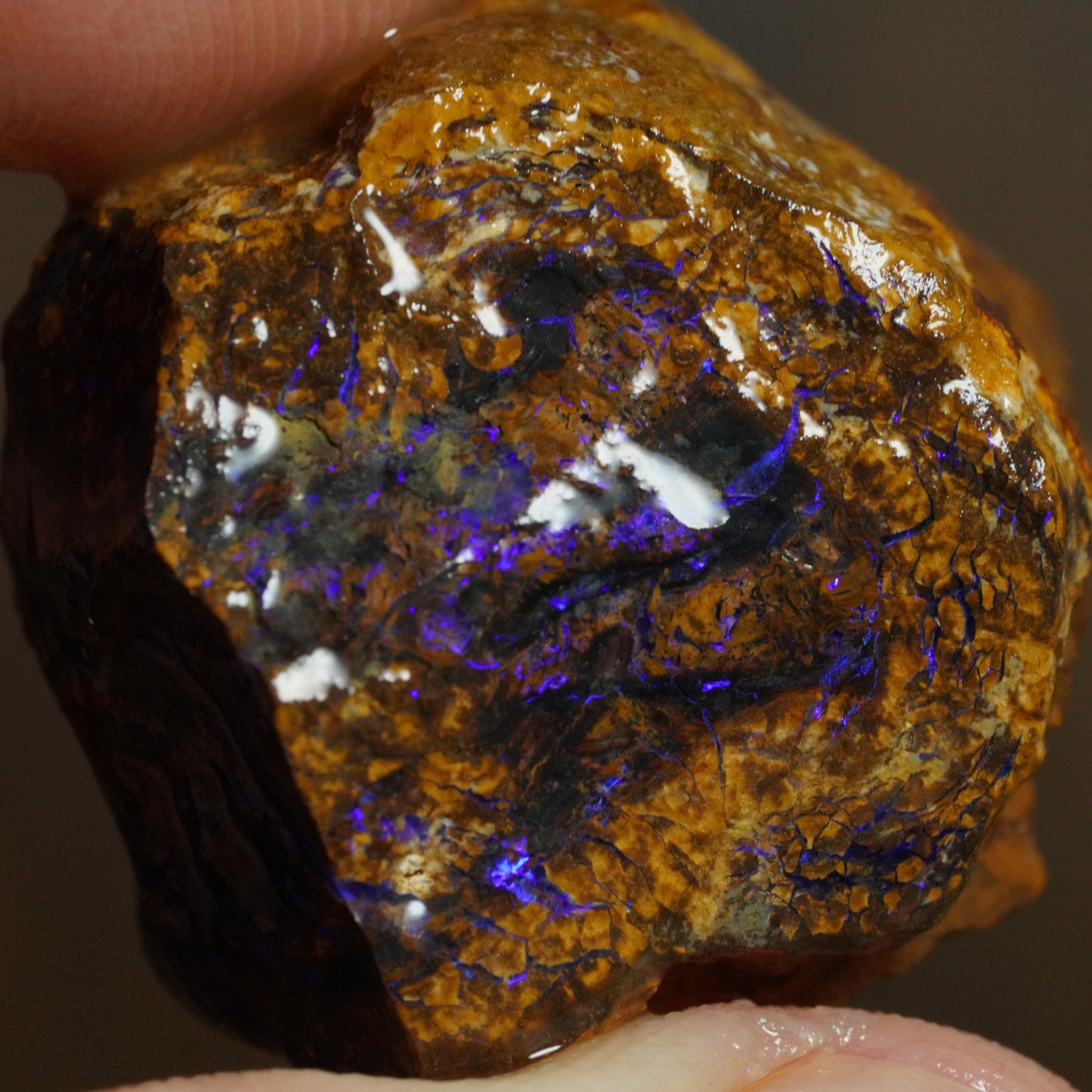 Boulder Opal