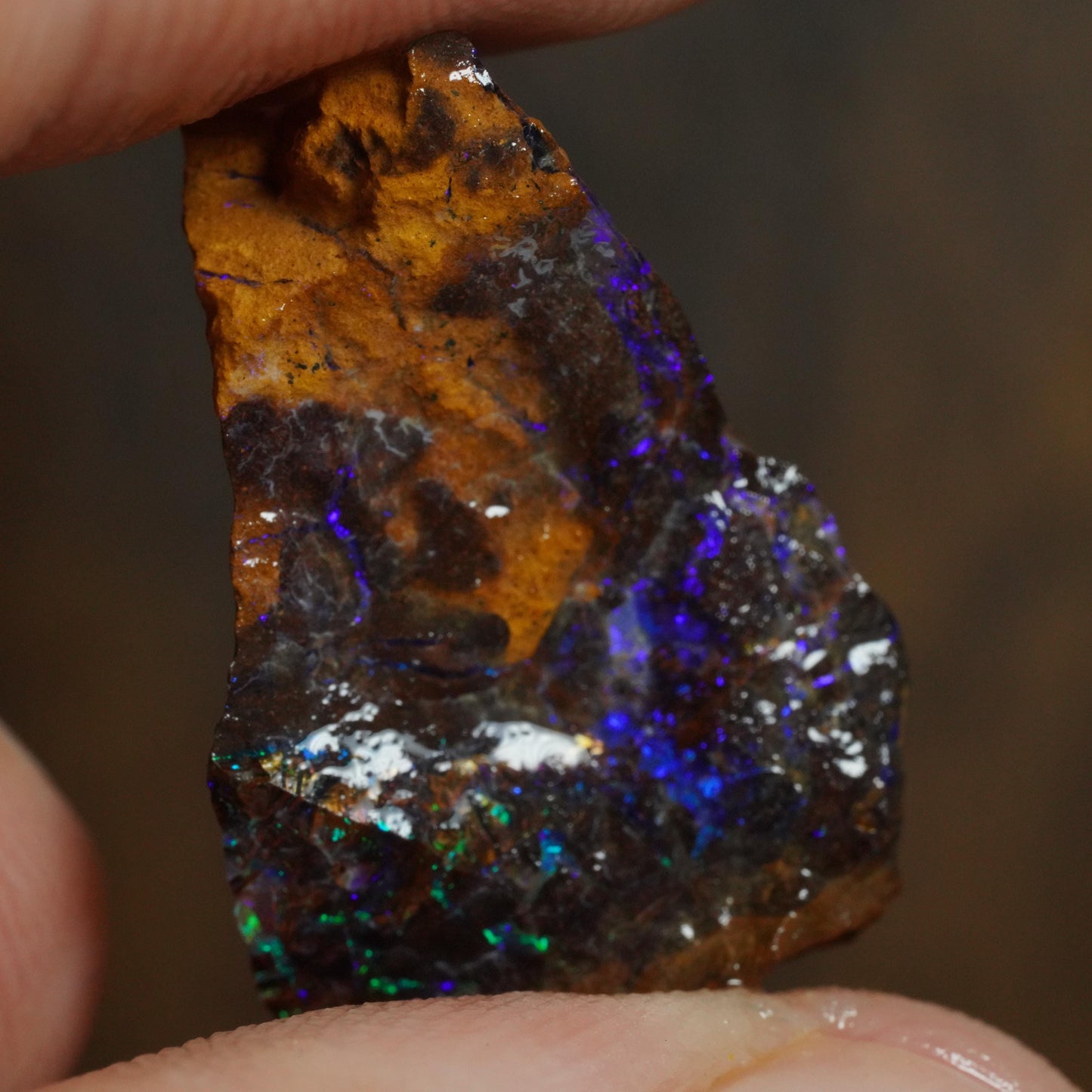 Boulder Opal
