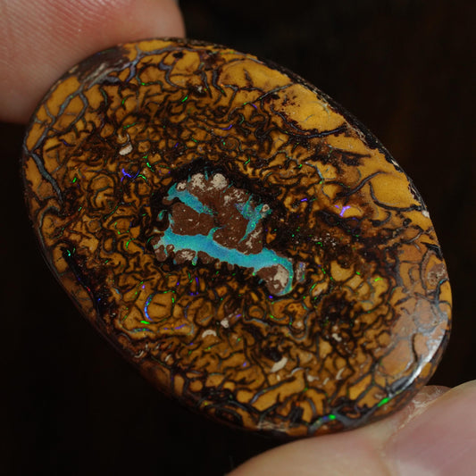 Boulder Opal Cut Stone