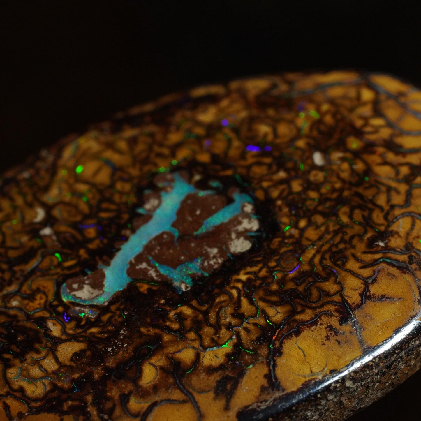 Boulder Opal Cut Stone
