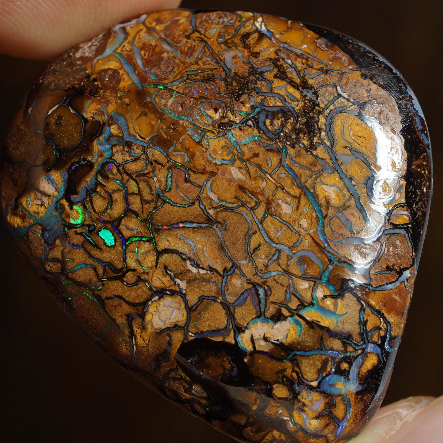 Boulder Opal Cut Stone