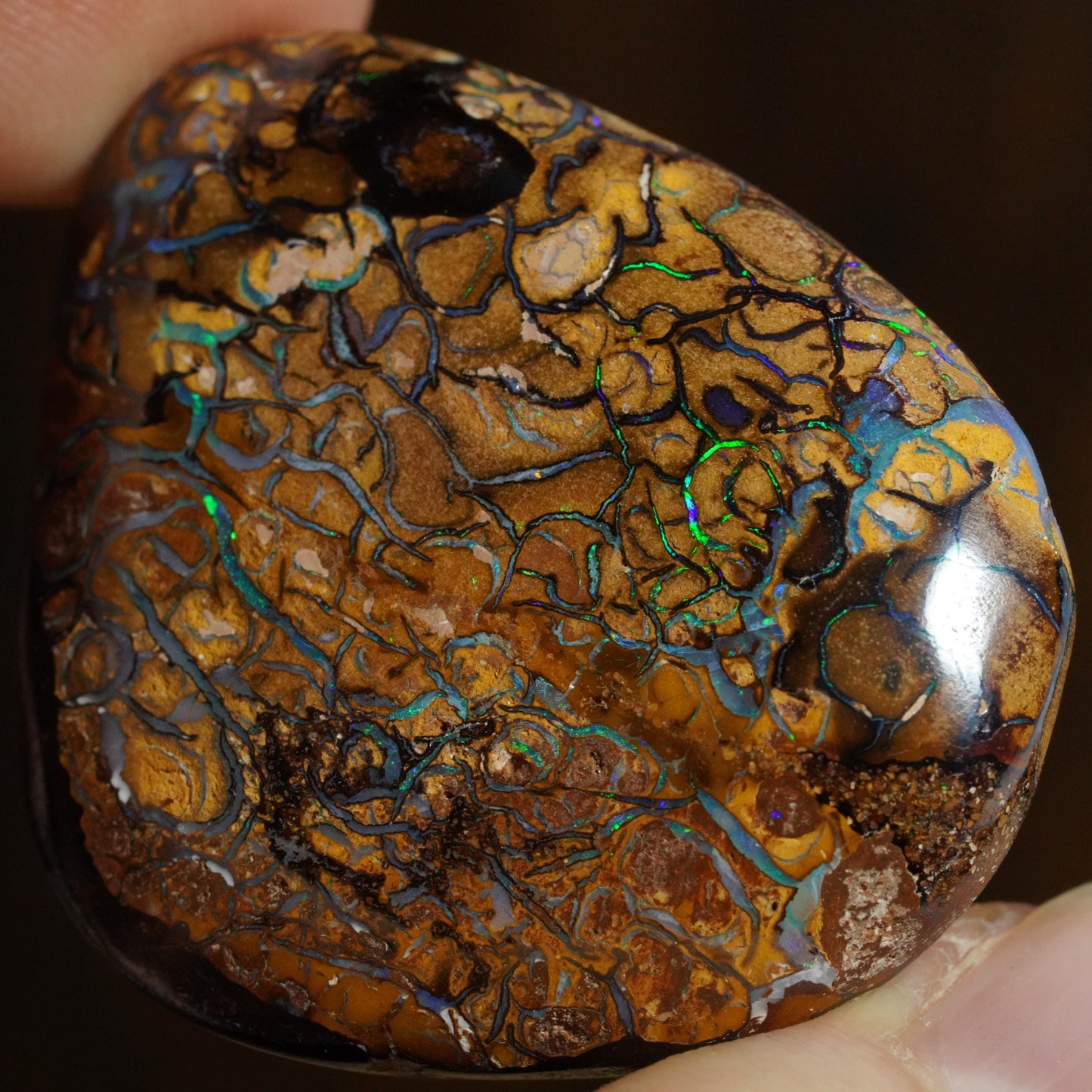 Boulder Opal Cut Stone