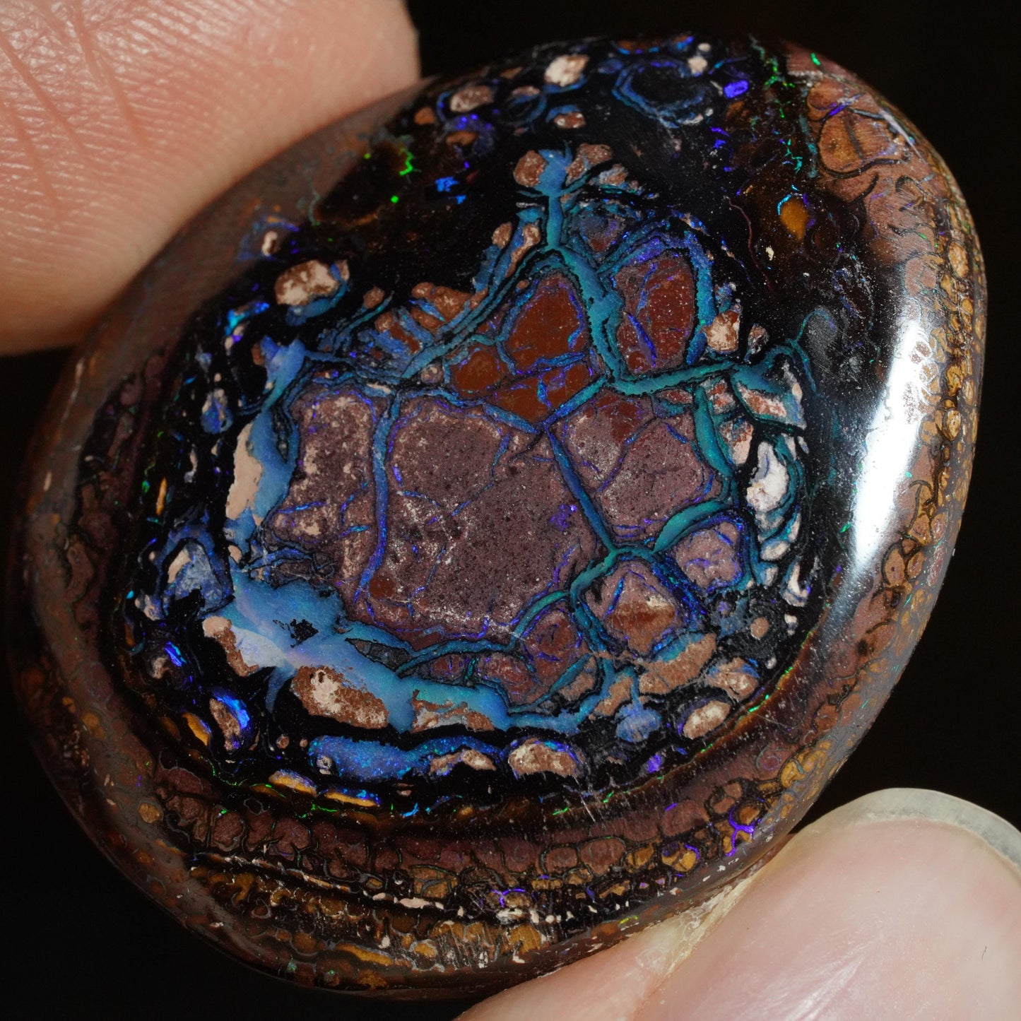 Boulder Opal Cut Stone