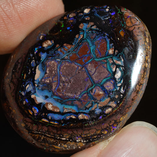 Boulder Opal Cut Stone