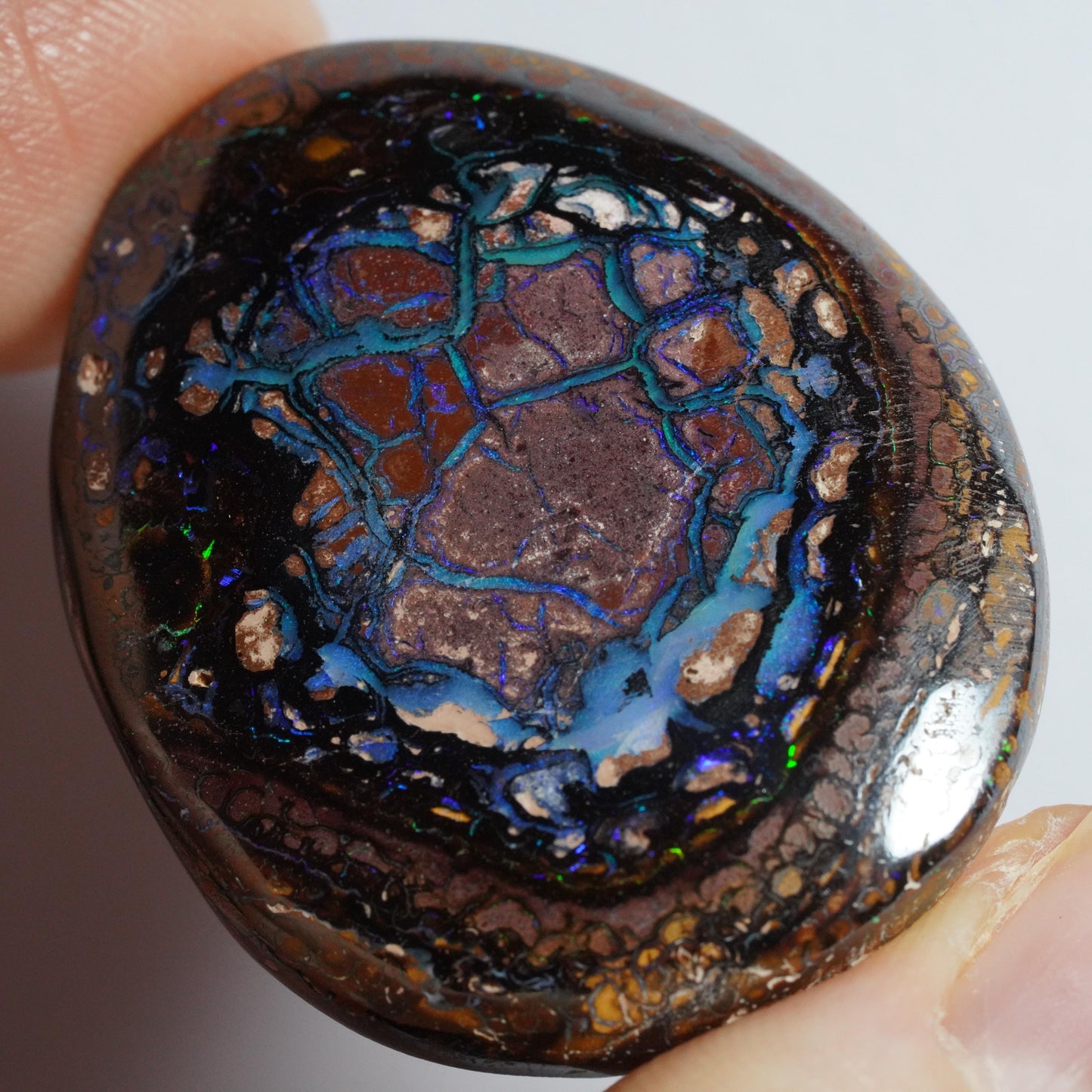 Boulder Opal Cut Stone