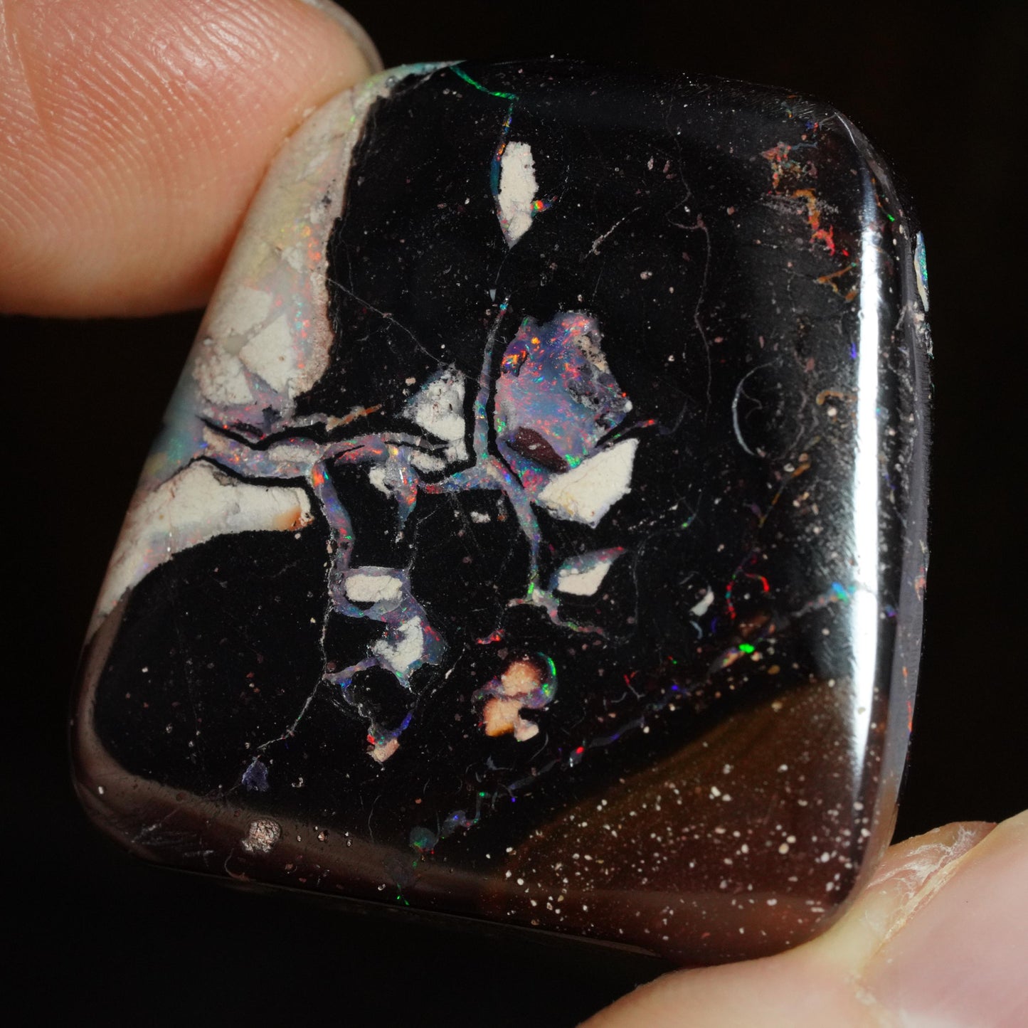 Boulder Opal Cut Stone