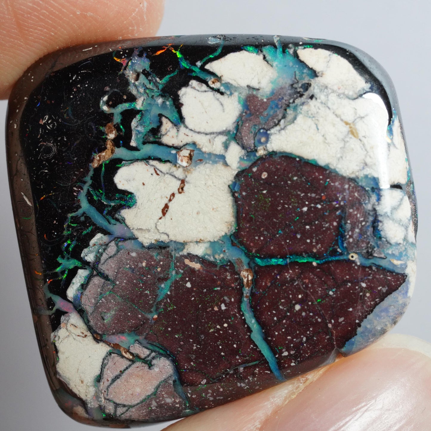 Boulder Opal Cut Stone