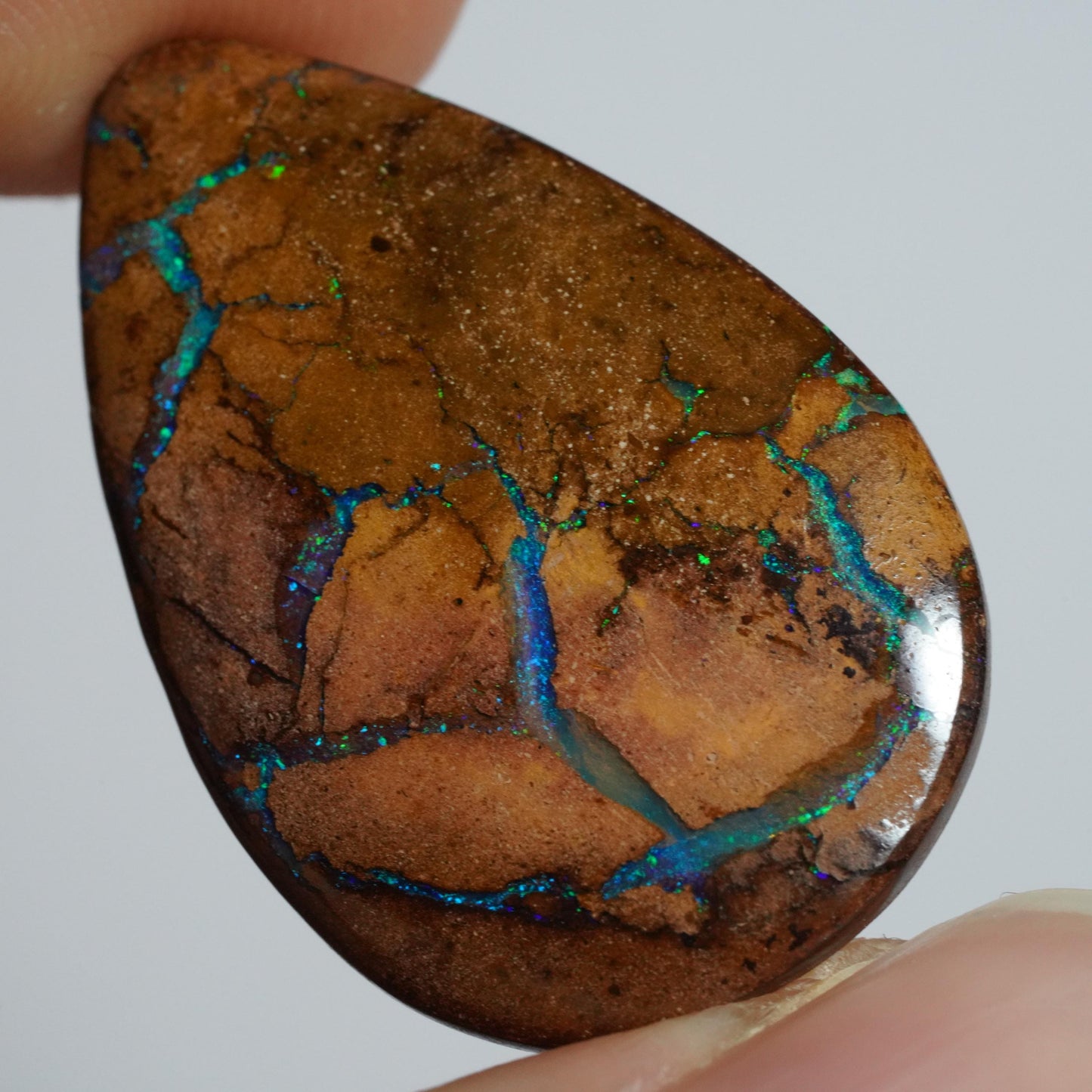 Boulder Opal Cut Stone
