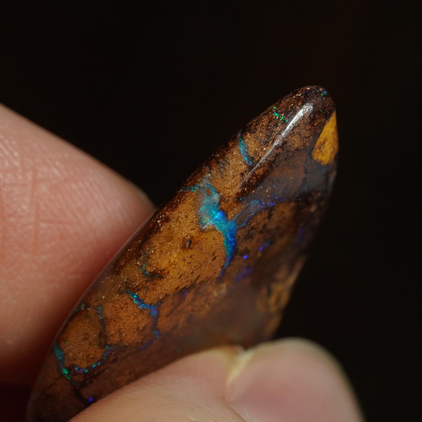 Boulder Opal Cut Stone