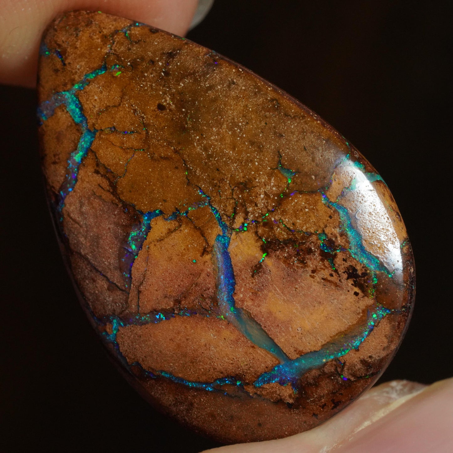 Boulder Opal Cut Stone