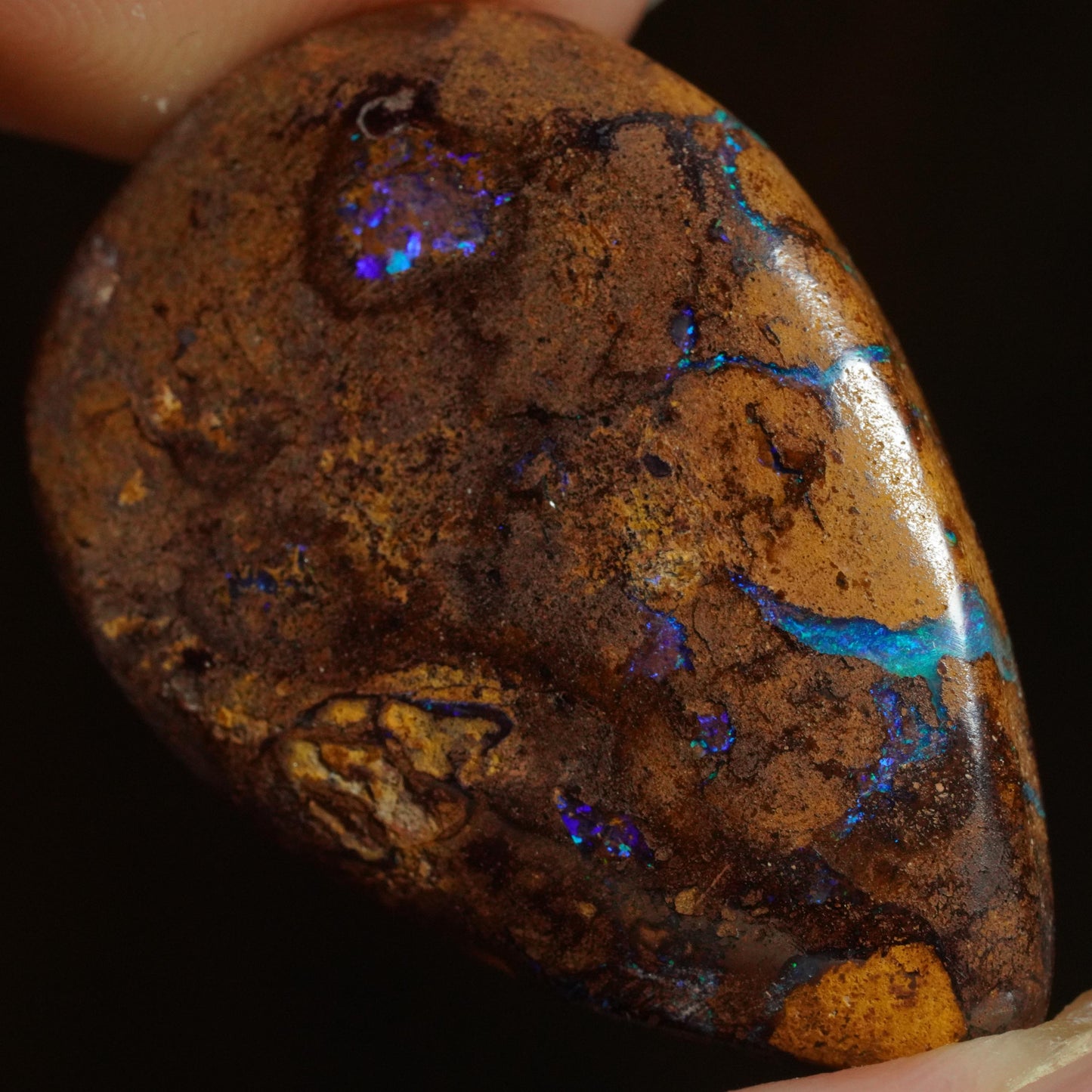 Boulder Opal Cut Stone