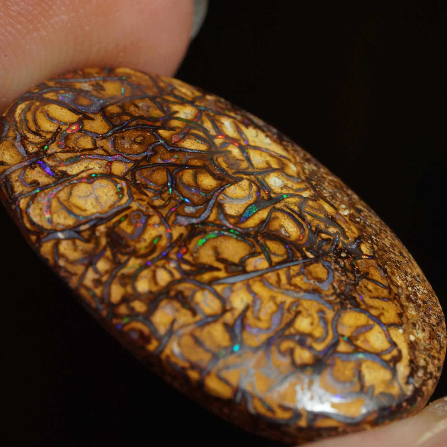 Boulder Opal Cut Stone