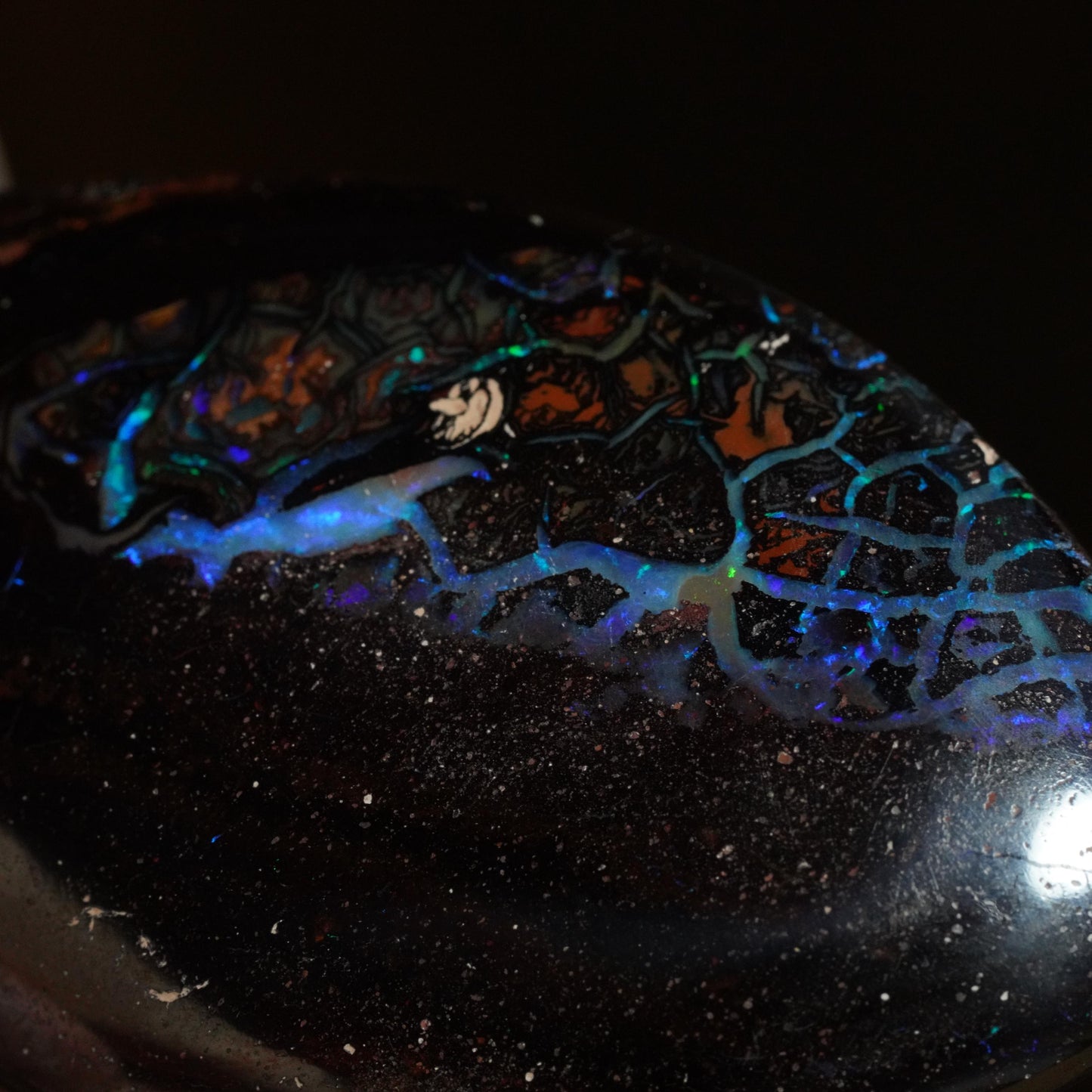Boulder Opal Cut Stone