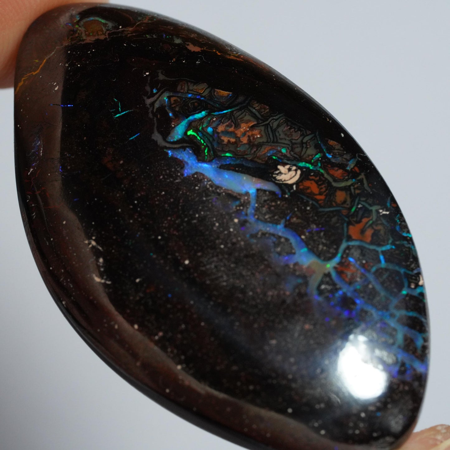 Boulder Opal Cut Stone