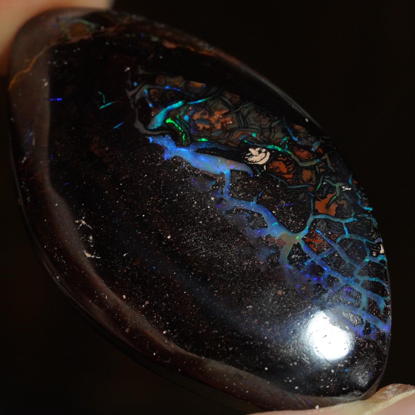 Boulder Opal Cut Stone