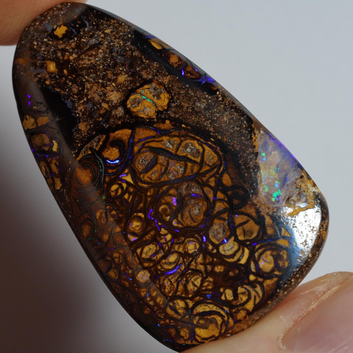 Boulder Opal Cut Stone