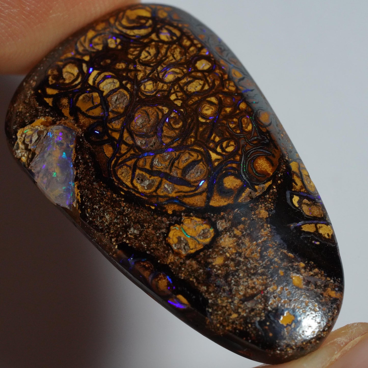Boulder Opal Cut Stone