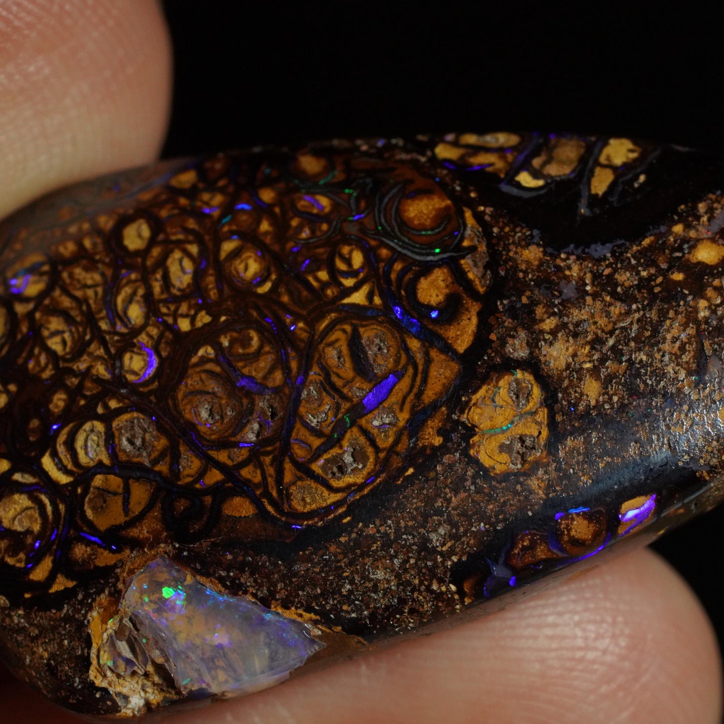 Boulder Opal Cut Stone