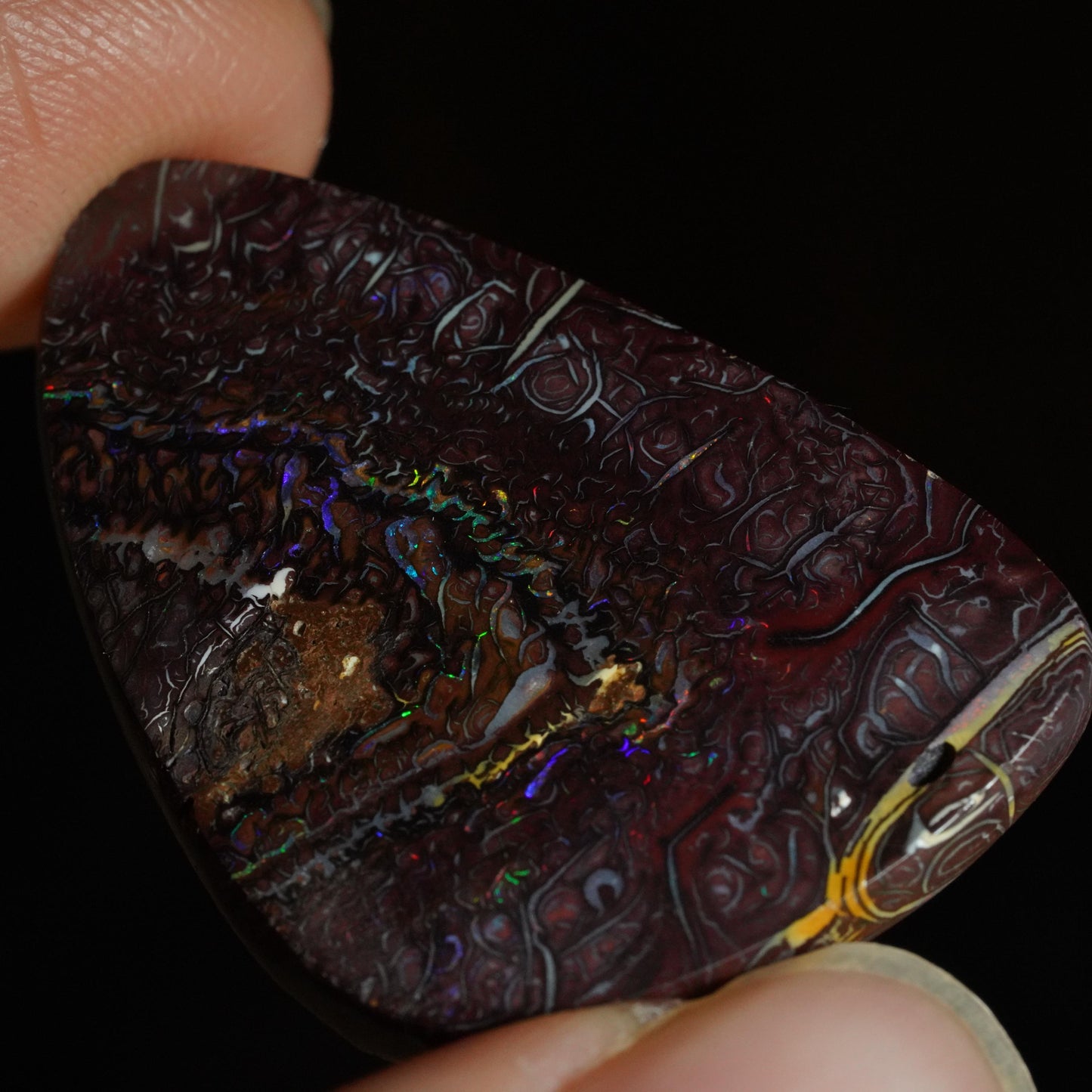 Boulder Opal Cut Stone
