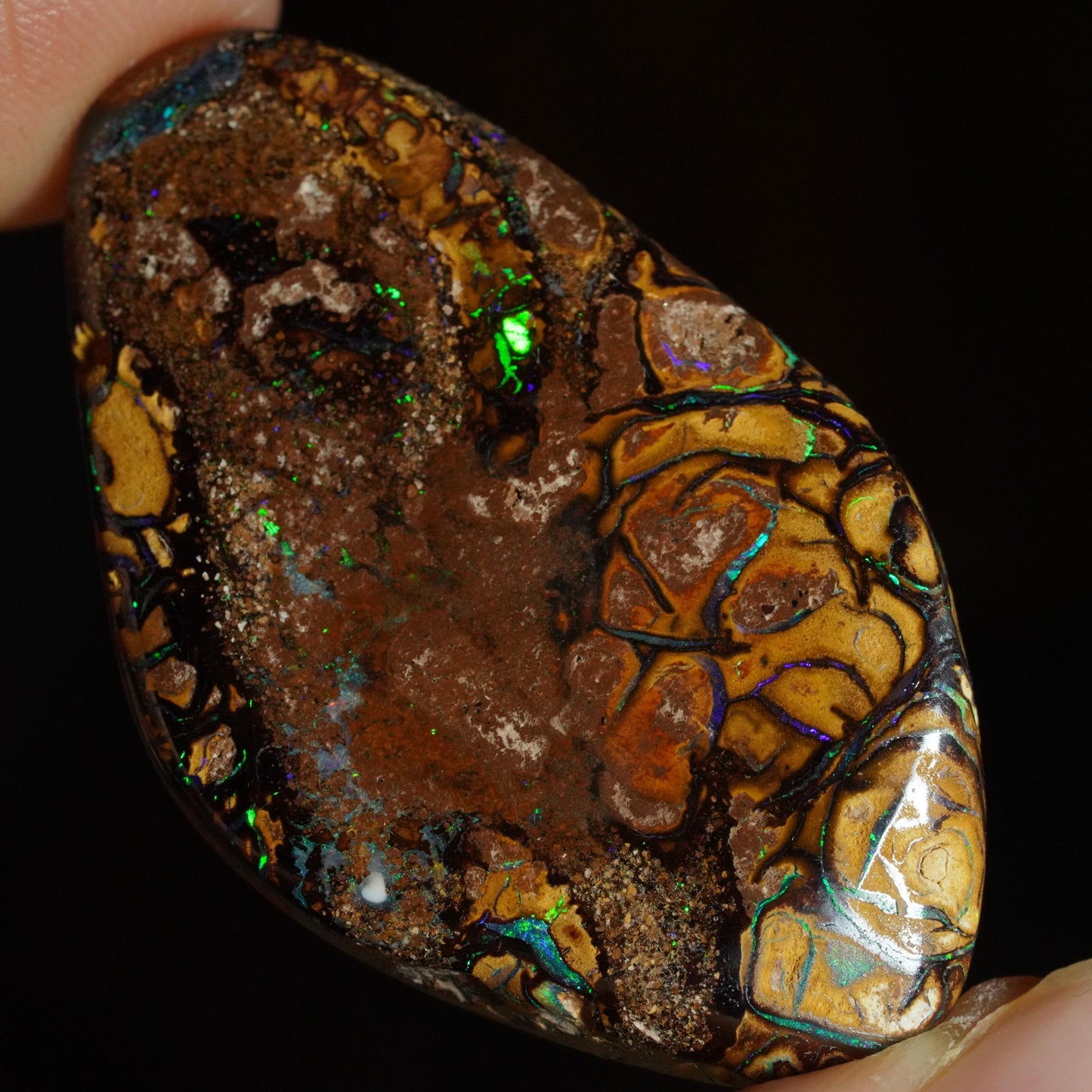 Boulder Opal Cut Stone