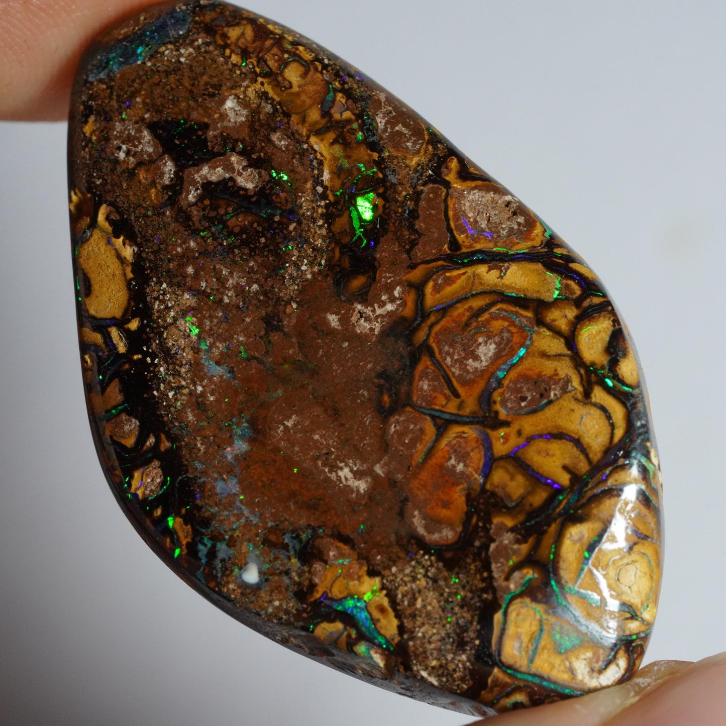 Boulder Opal Cut Stone