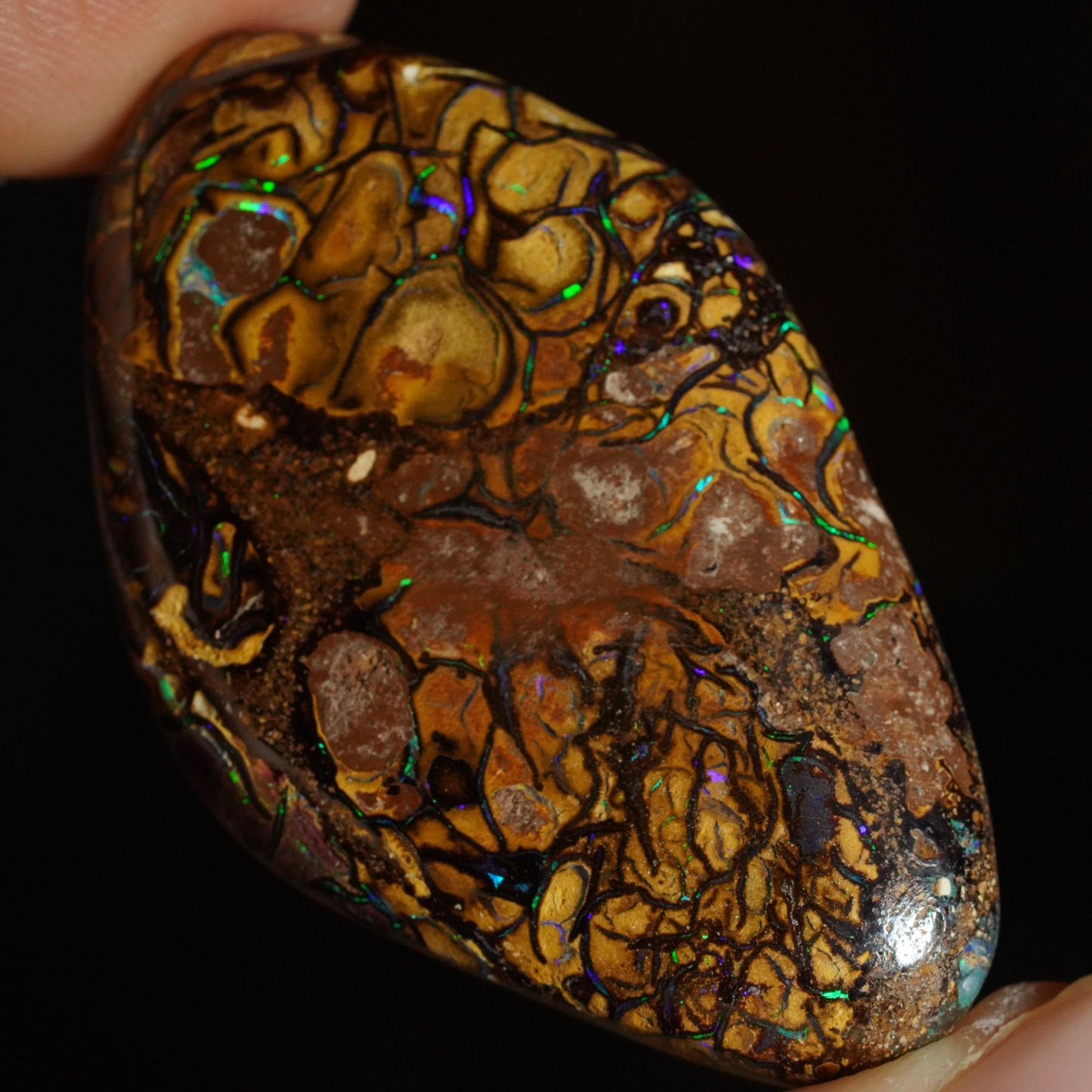 Boulder Opal Cut Stone