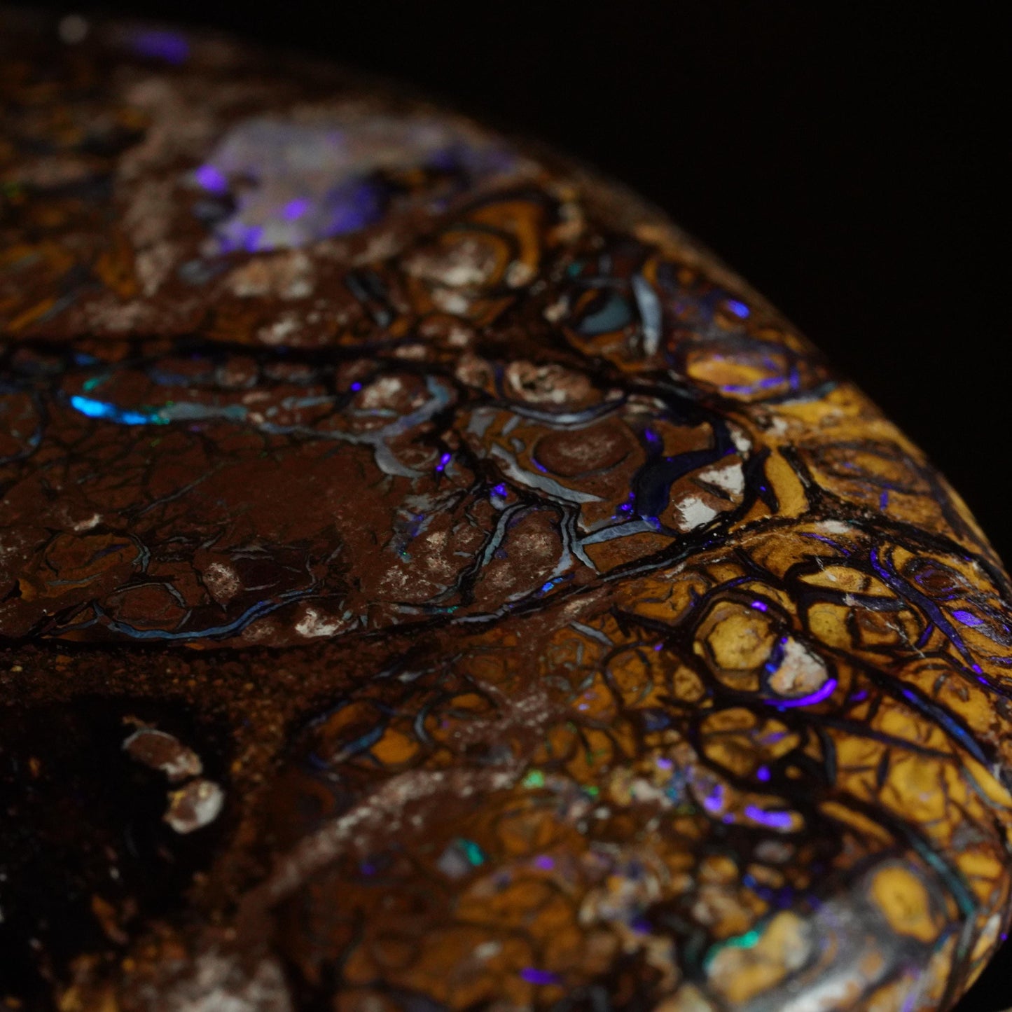 Boulder Opal Cut Stone