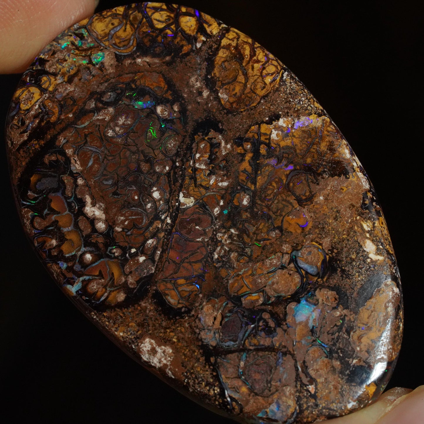 Boulder Opal Cut Stone