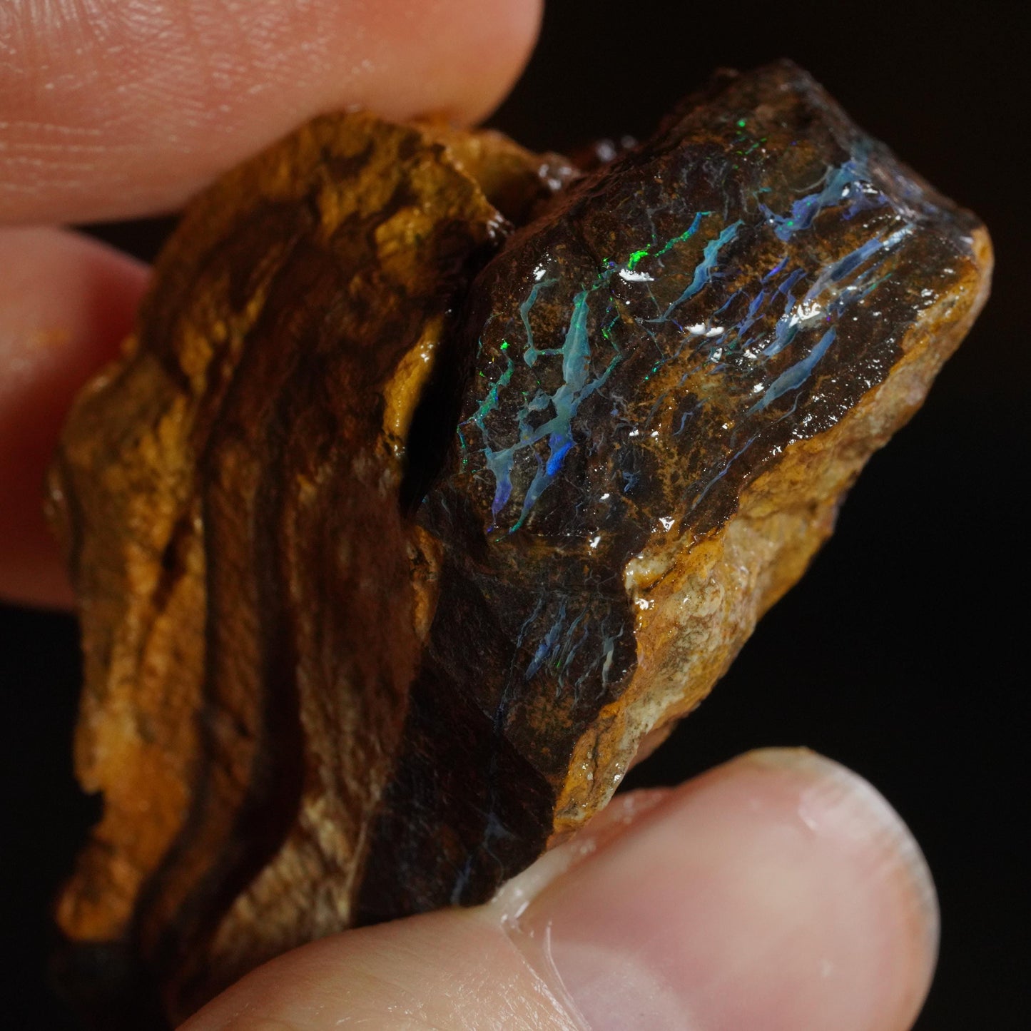 Boulder Opal