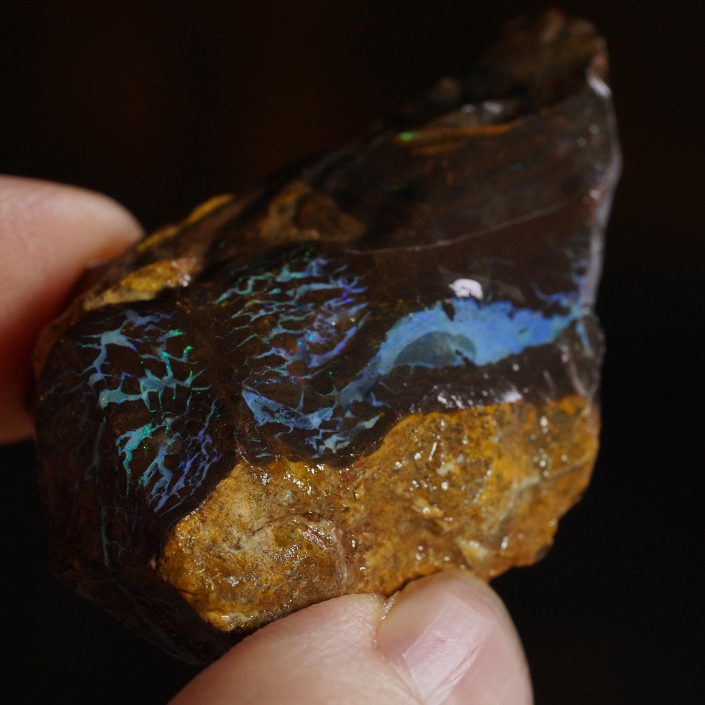 Boulder Opal