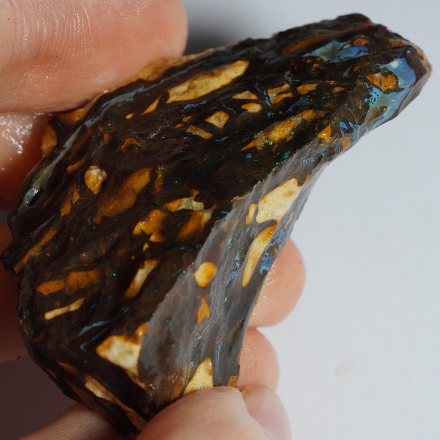 Boulder Opal