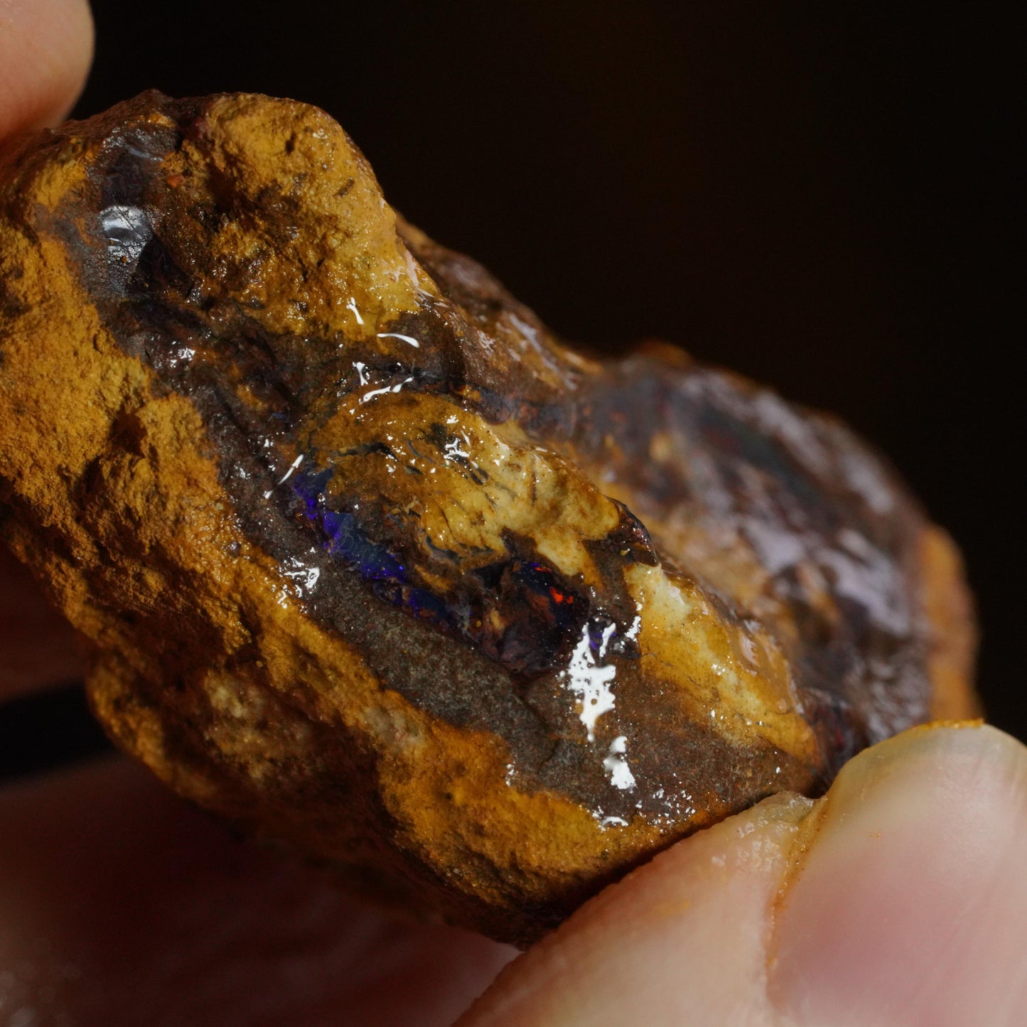 Boulder Opal