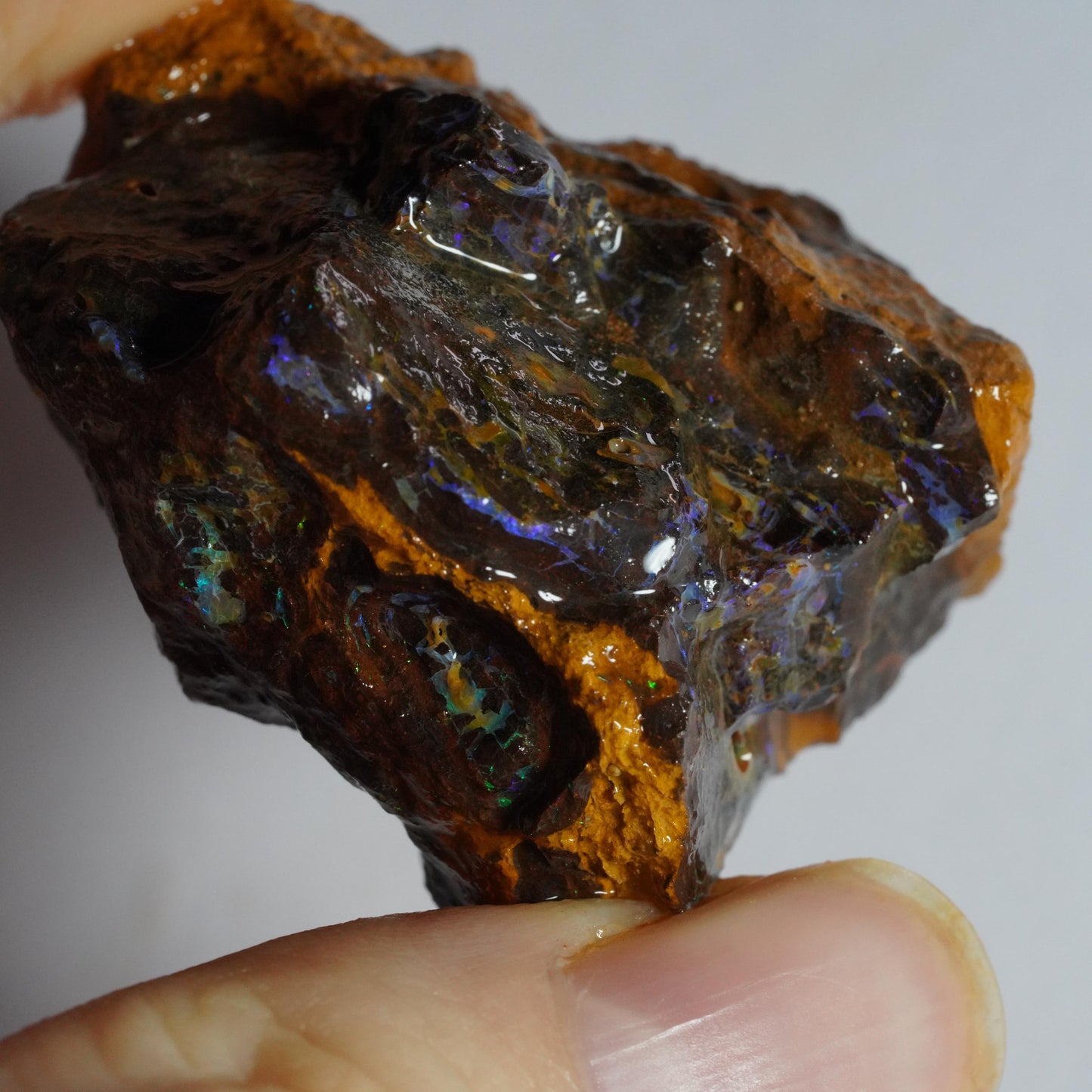 Boulder Opal