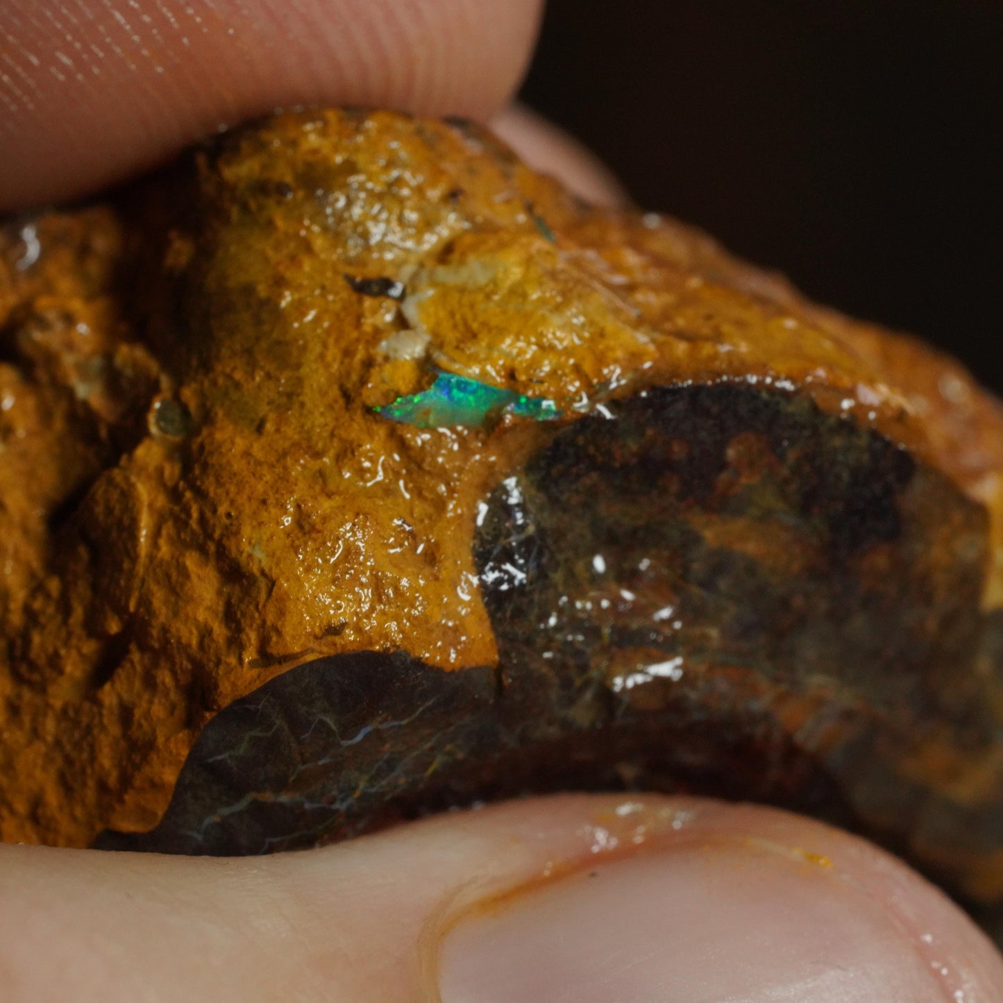 Boulder Opal