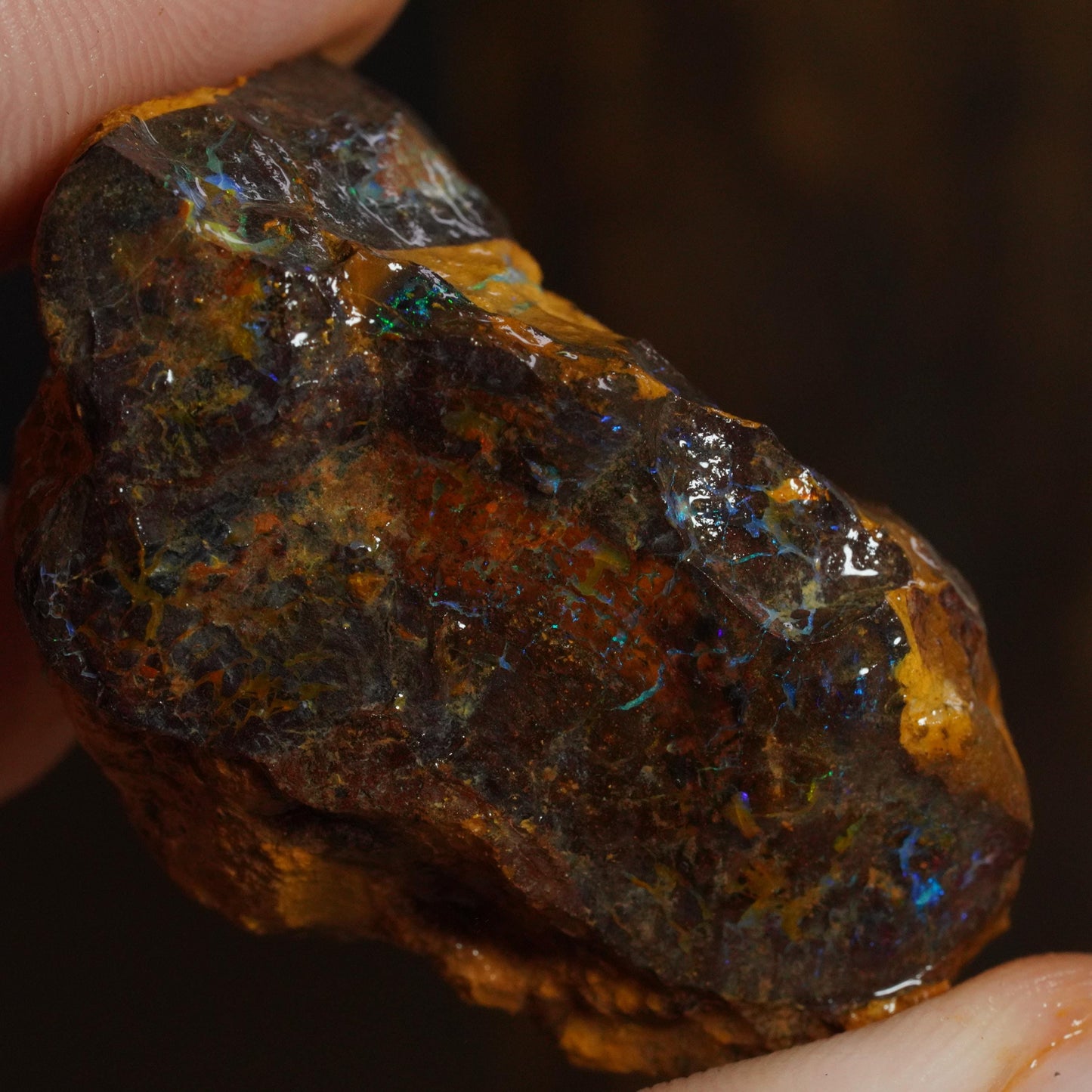 Boulder Opal
