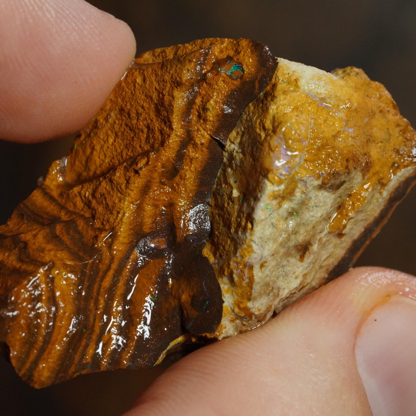 Boulder Opal